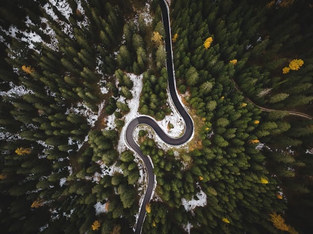 Arial view of curved road surrounded by pine forest, Gulmarg