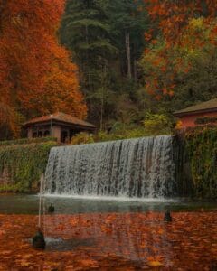 Waterfall Surround by Autumnal Maple Leaves in Nishat Bagh Kashmir