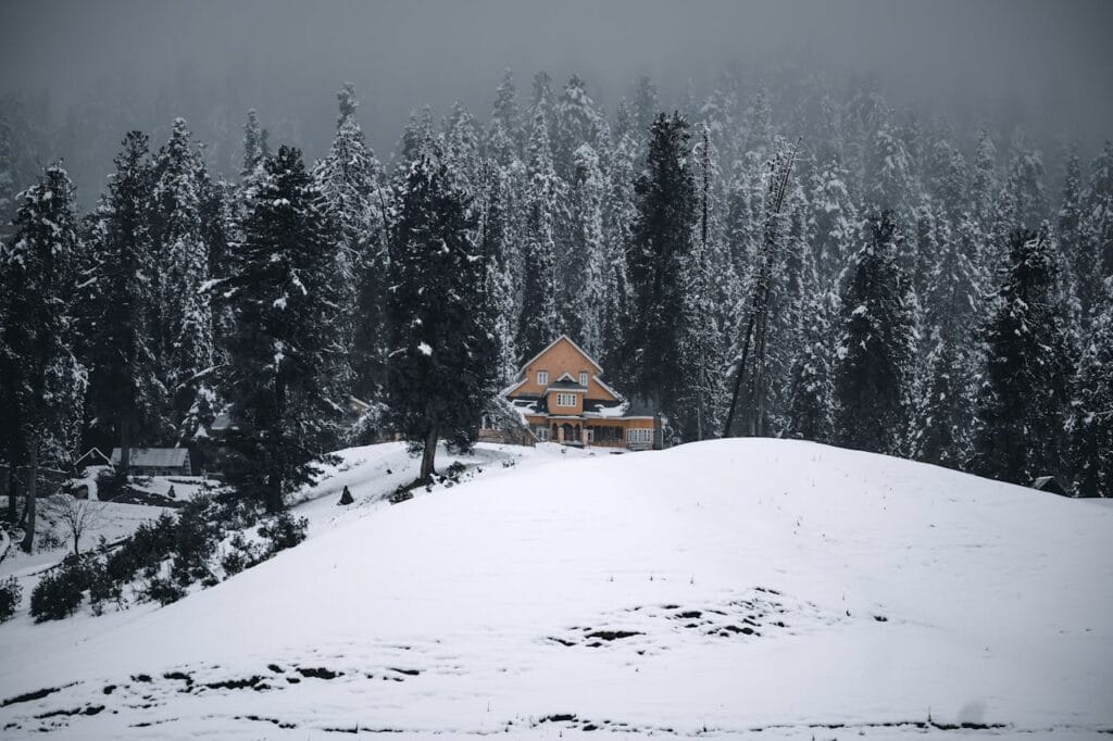 House in a snow covered mountain surrounded by pine forest