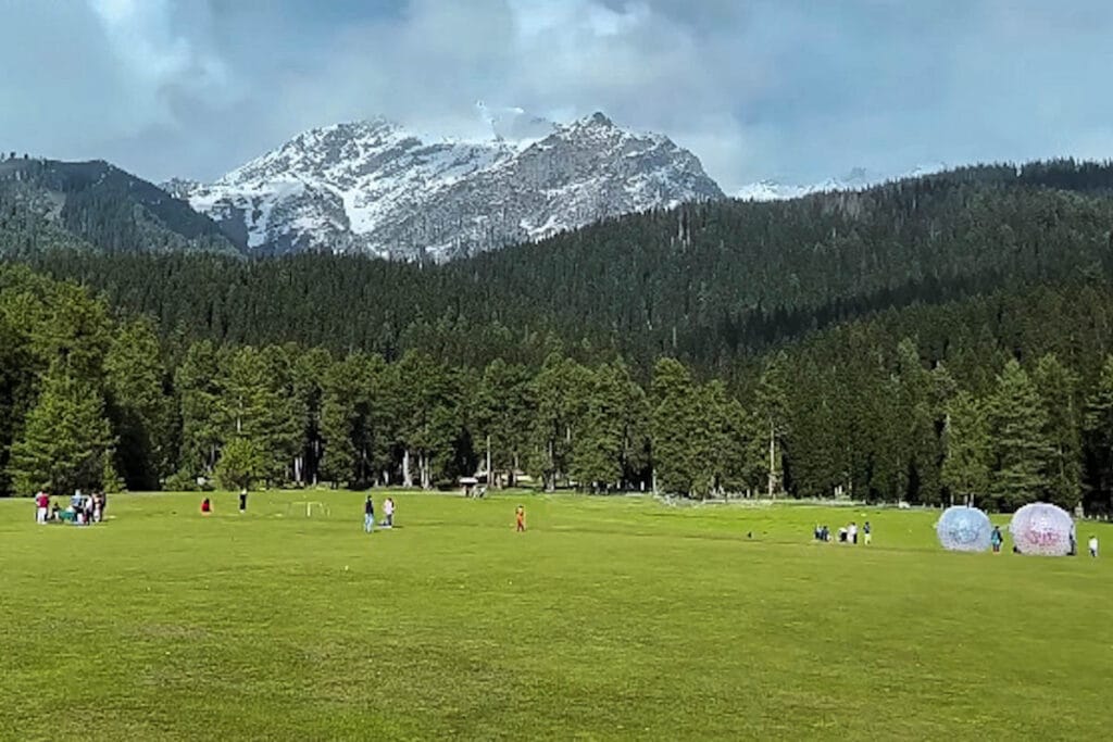 A Picturesque view of Baisaran Valley surrounded by Pine Forests and snow-capped mountains