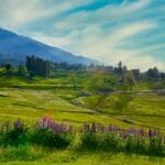 Best Places To Visit In Kashmir