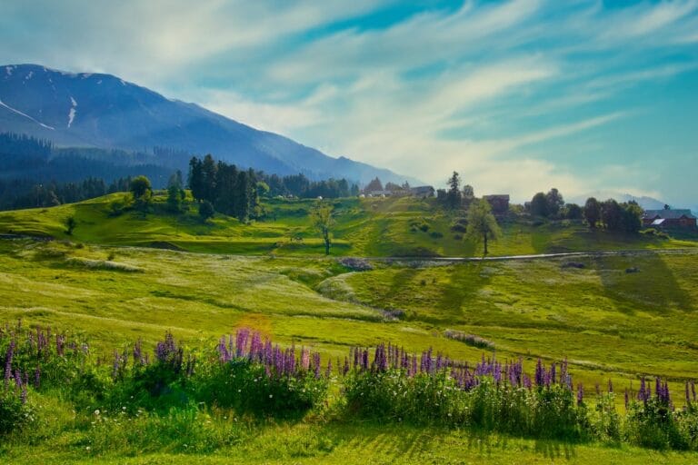 Best Places To Visit In Kashmir