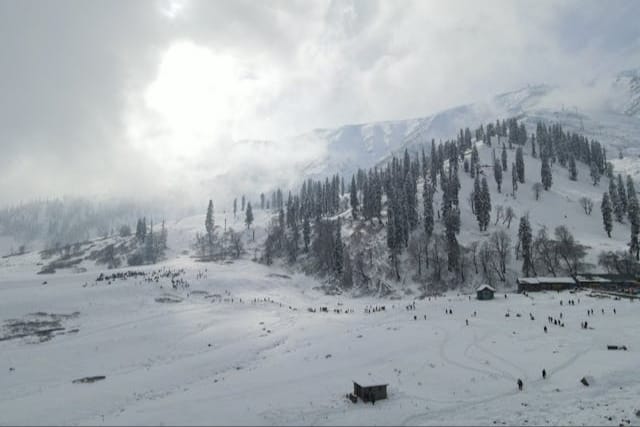 View of snow-covered slopes and trees in Gulmarg in winter