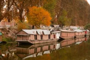 Houseboats on Lake with Maple Trees in Background in Autumn Season