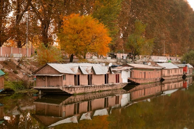 Houseboats on Lake with Maple Trees in Background in Autumn Season