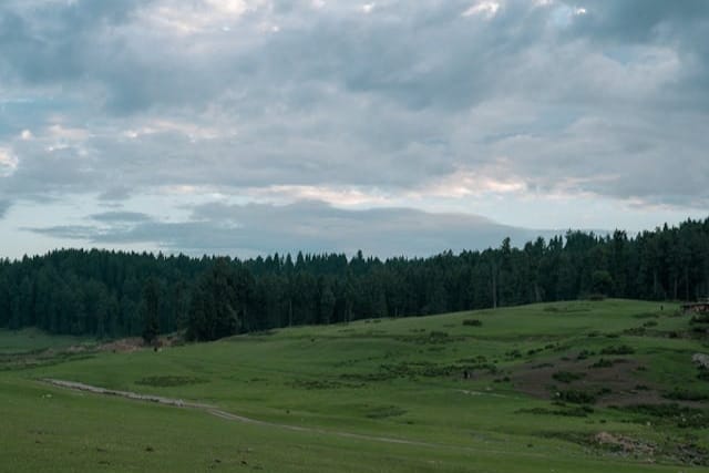 Green meadow of Lolab Valley surrounded by Pine forests