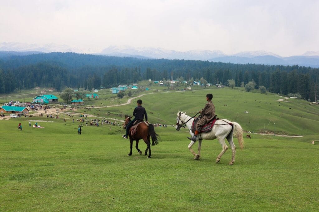 Pony ride in Kashmir