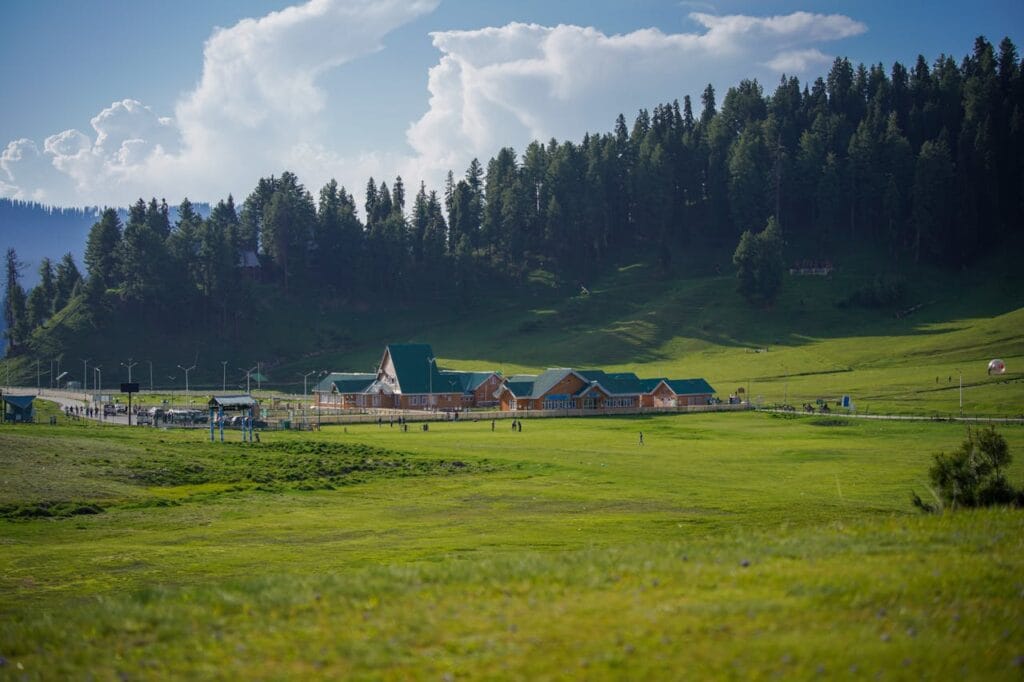 View of Pahalgam meadow covered with wildflowers and surrounded by Pine forests in Kashmir