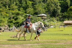 A Person Riding on a Horse With Green Forest In Background.