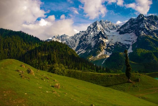 View of lush green Sonamarg Valley with Snow-capped mountains in background