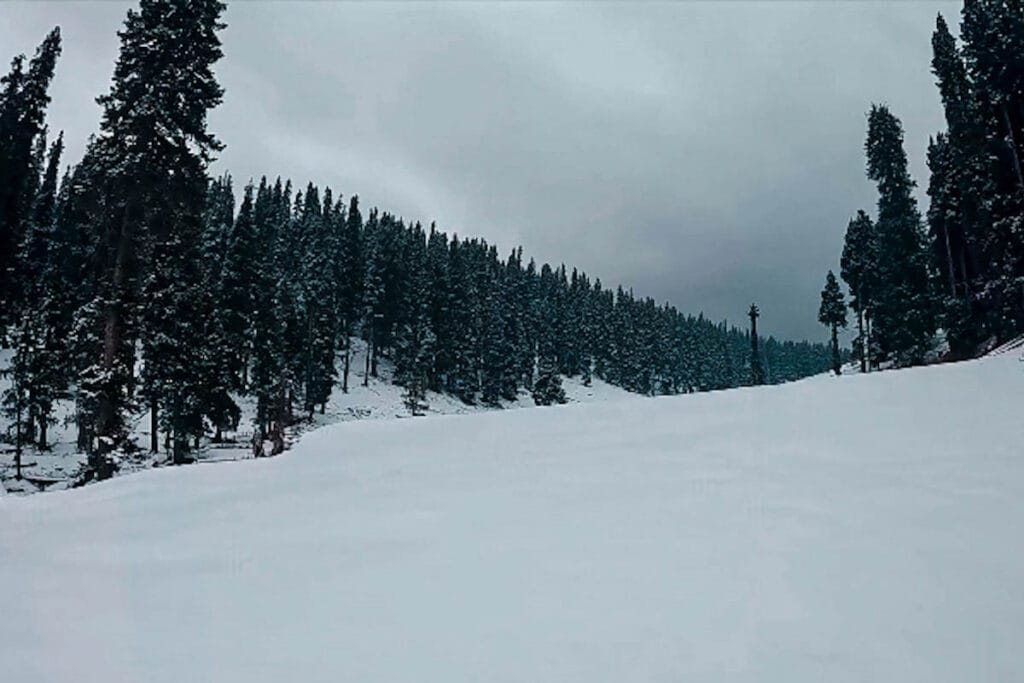 Snow-covered meadow and pine forests of Yusmarg Valley in winter